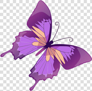 Purple Butterfly Clip Art   Purple Butterfly And Flower Clipart  HD Png Download