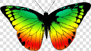 Butterfly Clipart Footed   Black And White Butterfly Png  Transparent Png