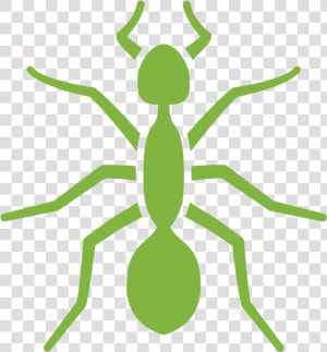 Pest Control Services   Ants Logo  HD Png Download