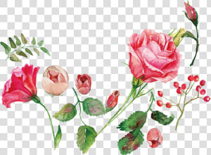 Watercolor Painting Flower Rose Royalty free   Flower Watercolor Painting Png Free  Transparent Png