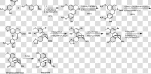 Rice Morphine Synthesis   Chemical Synthesis Of Morphine  HD Png Download