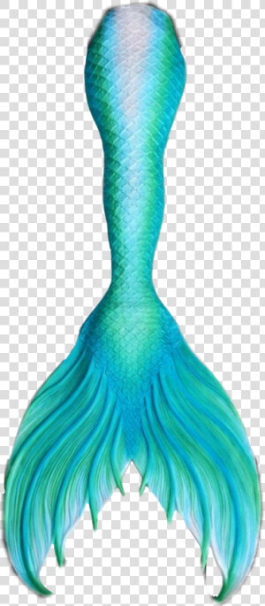 Blue Mermaid Tail 💙🍀   Transparent Mermaid Tail Png  Png Download