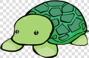  green  turtle  cute  chibi  kawaii   Shell Pun  HD Png Download