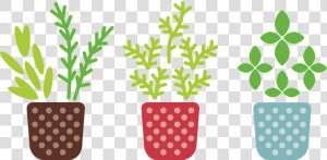 Transparent Plant Transparent Png   Potted Plant Clipart Transparent Background  Png Download