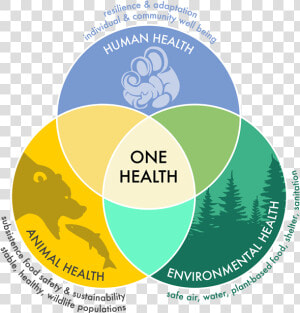 One Health Ven Diagram Illustrating The Interdependence   Human Animal Environment One Health  HD Png Download