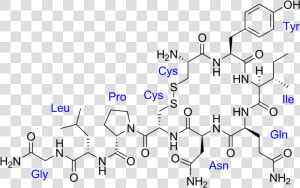 Estructura De La Oxitocina  HD Png Download