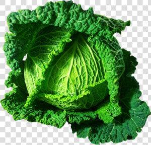 Kale savoy Cabbage food   Clipart Cabbages  HD Png Download