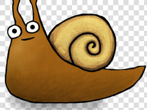 Giant Cute African Snail  HD Png Download