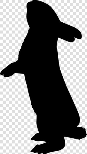 Silhouette Rabbit Photography Clip Art   Silhouette Rabbit  HD Png Download