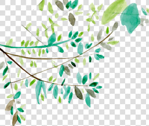 Ftestickers Watercolor Leaves Vines Greenery   Transparent Watercolor Clip Art Leaf  HD Png Download