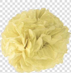 Pale Yellow Paper Pom Poms   Carnation  HD Png Download