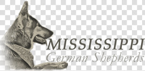 Mississippi German Shepherds   Old German Shepherd Dog  HD Png Download