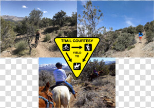 Trail Courtesy   Stallion  HD Png Download