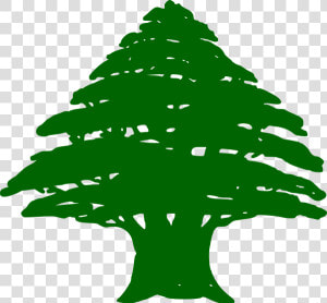 Cedar Tree Lebanon Flag  HD Png Download