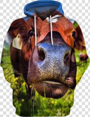 Transparent Cute Cow Png   Photograph  Png Download