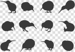 Kiwi Bird Silhouettes   Kiwi Bird Icon Vector  HD Png Download