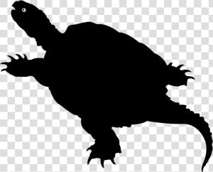 Common Snapping Turtle  HD Png Download