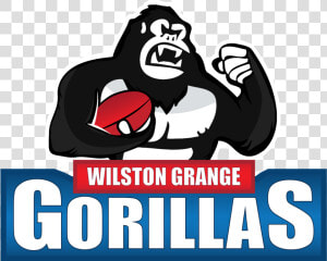 Wilston Grange Football Club  HD Png Download