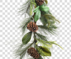 Green Garland With Pinecones   Pond Pine  HD Png Download