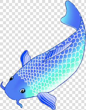 Blue Koi Fish Clip Art   Transparent Background Koi Fish Clipart  HD Png Download