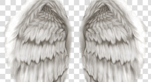 Hd Angel Wings Png   Png Download   Heavenly Angel Wings Png  Transparent Png