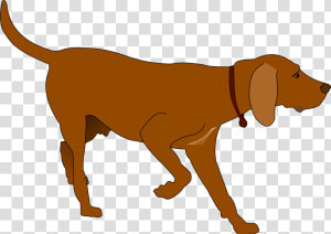 German Shorthaired Pointer At   Hunter Dog Clipart  HD Png Download