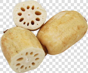 Lotus Root Png Image   Lotus Root Png  Transparent Png