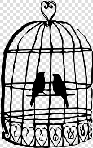 Birdcage Clip Art   Drawing Of A Birdcage  HD Png Download