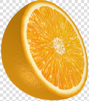 Sliced Orange Ootf Entry 3   Half Sliced Orange Png  Transparent Png