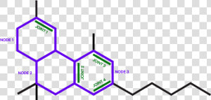 Elemental Processing Lexington Ky  HD Png Download