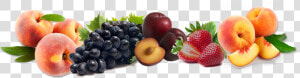 Fundos Para Banner Com Frutas  HD Png Download