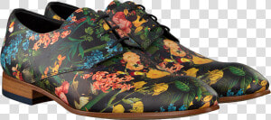 Green Mascolori Business Shoes Birds In Paradise   Outdoor Shoe  HD Png Download