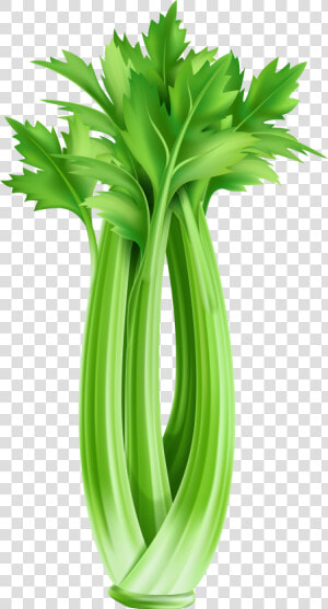 Clip Art Celery Clipart   Celery Clipart  HD Png Download