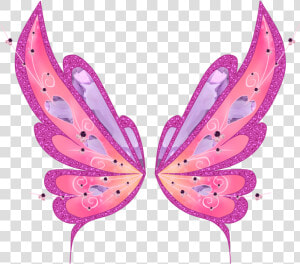 Fairy Wing Png   Pink Butterfly Wings Png  Transparent Png