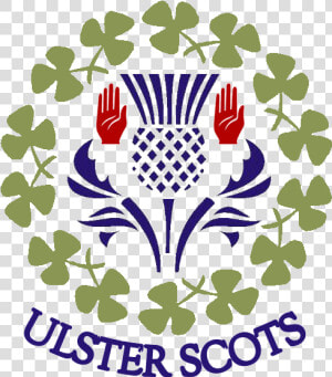 Ulster Scots Sham Thistle Icon   Scottish Thistle  HD Png Download