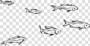 Animal  Fish  Ocean  Ocean Theme  River  Sea   School Of Fish Clipart Black And White  HD Png Download