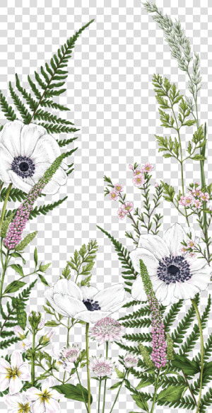 Transparent Kate Spade Flowers Clipart   Fern Flowers Watercolor  HD Png Download