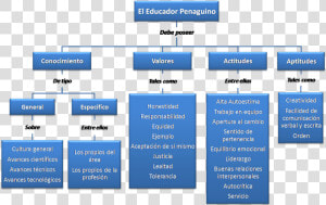 Perfil Del Docente Del Siglo 21  HD Png Download