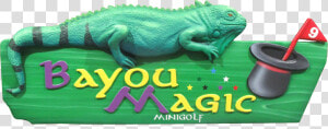 Bayou Magic Fun Center   Green Iguana  HD Png Download