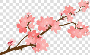 Clip Art Download Huge Freebie   Transparent Background Cherry Blossom Png  Png Download