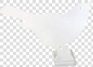 Pigeons And Doves   Png Download  Transparent Png