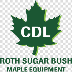 Cdl Maple  HD Png Download