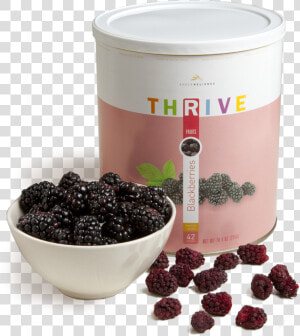 Thrive Food   Png Download   Boysenberry  Transparent Png