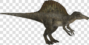 Spinosaurus Png  Transparent Png