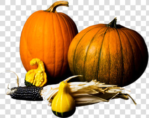 Pumpkin Gourds Stock Image   Pumpkin  HD Png Download