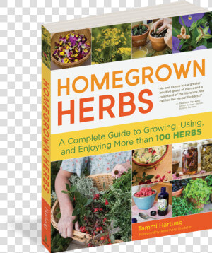 Cover   Homegrown Herbs A Complete Guide To Growing Using And  HD Png Download