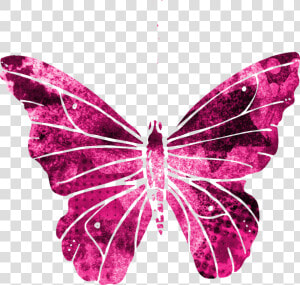 Butterfly  Pink  Clipart  Cute  Flying  Wings  Nature   Flying Pink Transparent Butterfly  HD Png Download