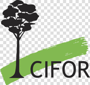 Center For International Forestry   Center For International Forestry Research Cifor Logo  HD Png Download