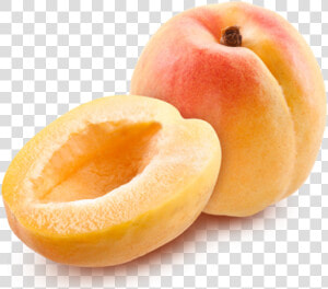 Apricot Png Image   Apricots Transparent  Png Download