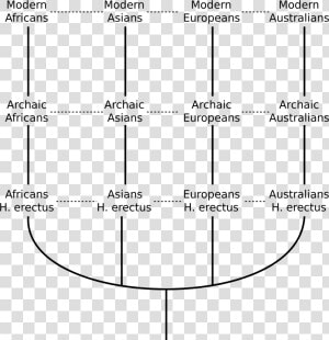 Multiregional Model Of Human Evolution  HD Png Download